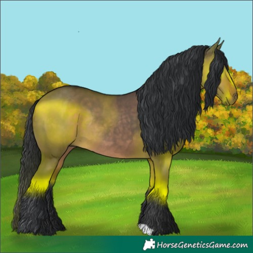 Horse Color:Brown Dun Rabicano 