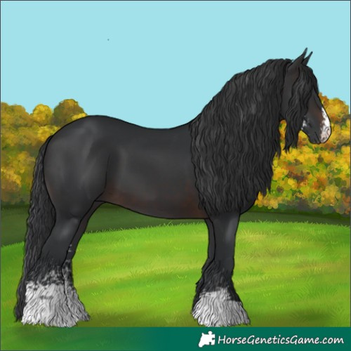 Horse Color:Brown Sabino 