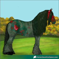 Horse Color:ERROR: UNKNOWN ANOMALY