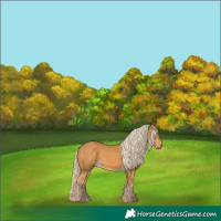 Horse Color:Palomino 