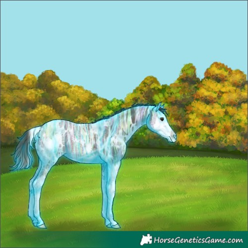 Horse Color:Thunderstruck White Spotted Liver Chestnut Ice Splash Varnish 