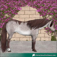 Horse Color:Platinum Chocolate Brown Dun