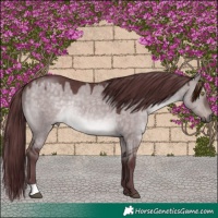 Horse Color:Platinum Chocolate Brown Dun 