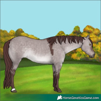 Horse Color:Platinum Chocolate Brown Dun