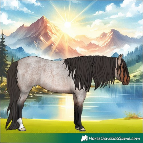 Horse Color:Bay Roan Rabicano 