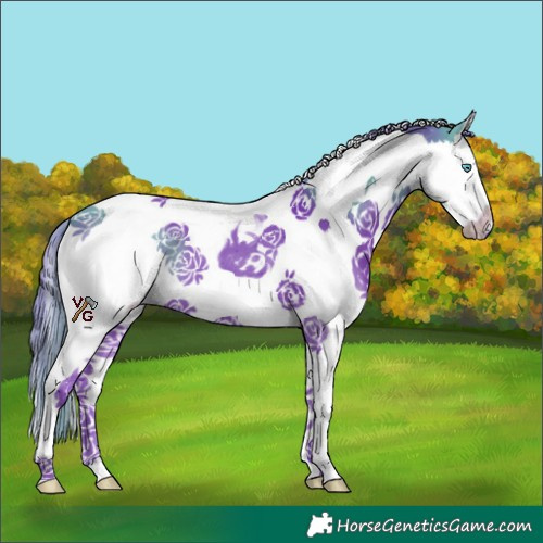 Horse Color:Watercolor Smoky Black Splash Tobiano
