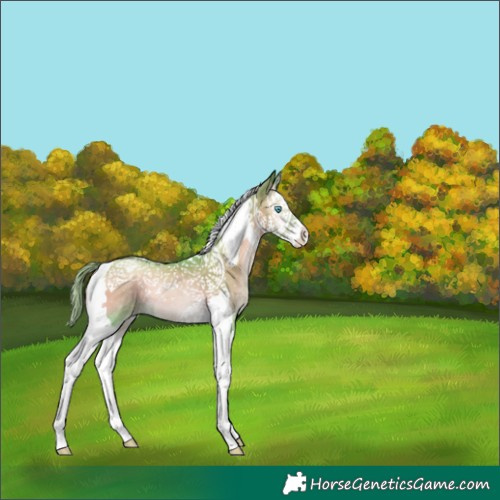 Horse Color:Watercolor Smoky Blue Onyx Pearl Splash Tobiano 
