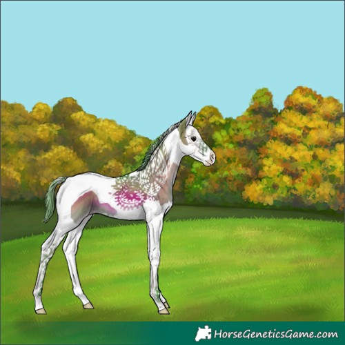 Horse Color:Watercolor Smoky Grullo Onyx Splash Tobiano