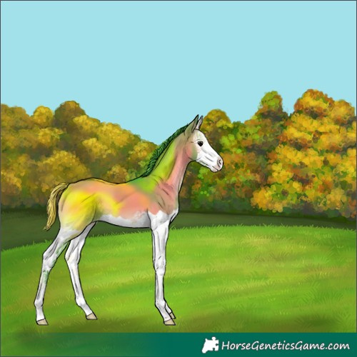 Horse Color:Watercolor Smoky Grullo Onyx Splash 