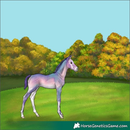 Horse Color:Watercolor Buckskin Onyx 