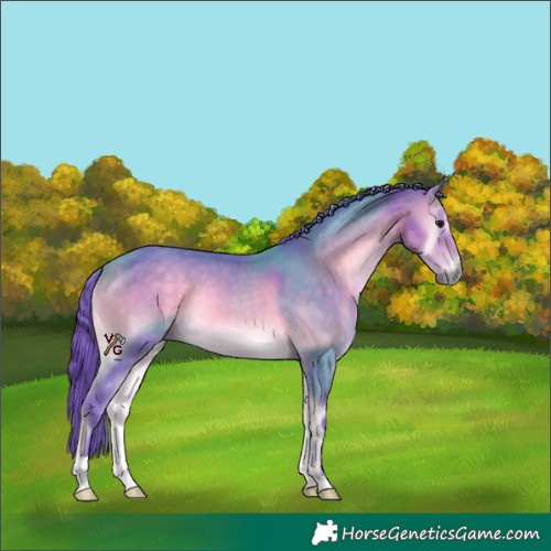 Horse Color:Watercolor Buckskin Onyx 