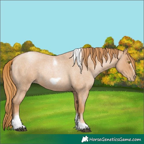 Horse Color:Red Roan Pearl Tobiano Frame