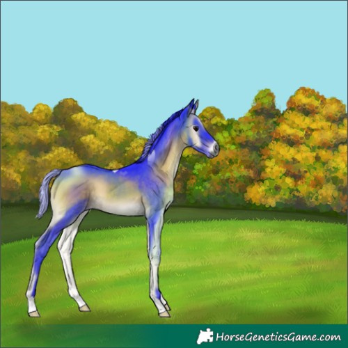 Horse Color:Gray Watercolor Brown Onyx