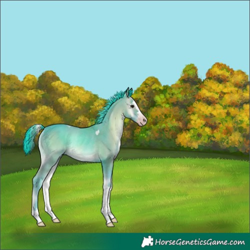 Horse Color:Gray Watercolor Classic Champagne Onyx Rabicano