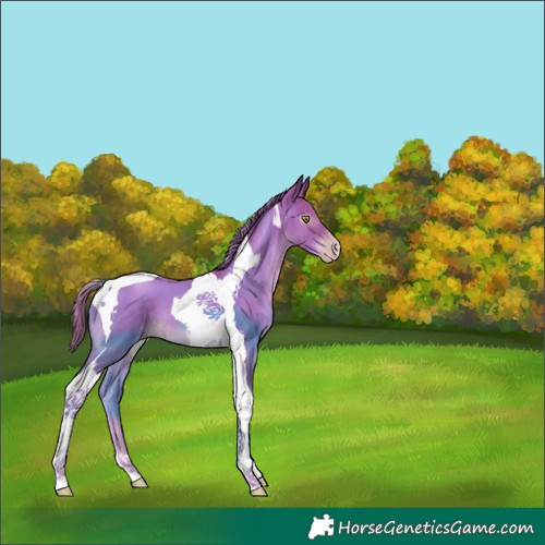 Horse Color:Gray Watercolor Gold Champagne Tobiano 