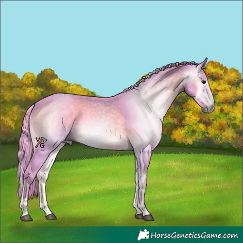 Horse Color:Gray Watercolor Brown Onyx Varnish Rabicano 