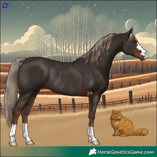 Horse Color:Liver Chestnut Rabicano 