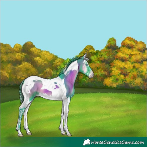 Horse Color:Watercolor Smoky Blue Onyx Splash Tobiano 
