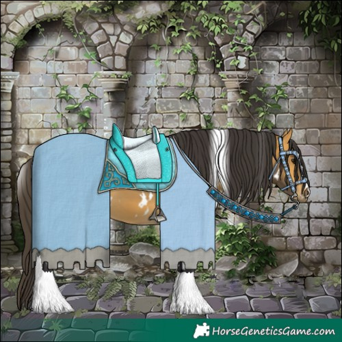 Horse Color:White Spotted Buckskin 