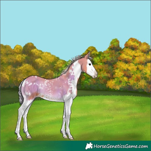 Horse Color:Watercolor White Spotted Silver Blue Onyx Splash