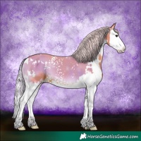 Horse Color:Watercolor White Spotted Silver Blue Onyx Splash