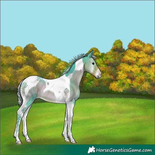 Horse Color:Watercolor Silver Smoky Blue Onyx Tobiano Rabicano 