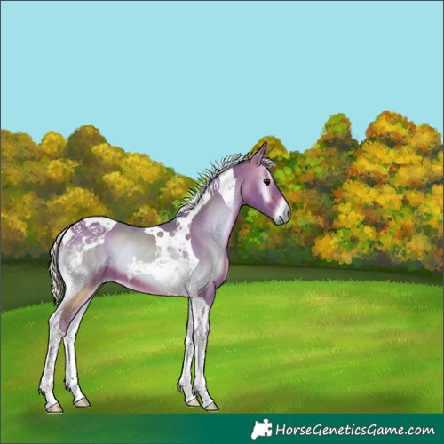 Horse Color:Watercolor Silver Brown Onyx Tobiano
