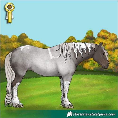 Horse Color:Silver Black Tobiano 