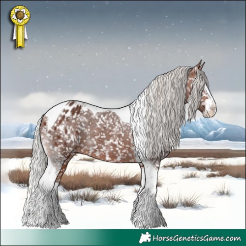 Horse Color:Silver Bay Splash Tobiano Snowflake Varnish 