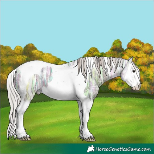 Horse Color:Powder White Silver Black Ice Splash Tobiano 