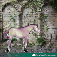 Horse Color:Watercolor Brown Pearl Onyx 