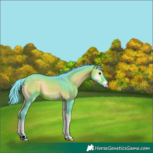 Horse Color:Watercolor Brown Onyx 