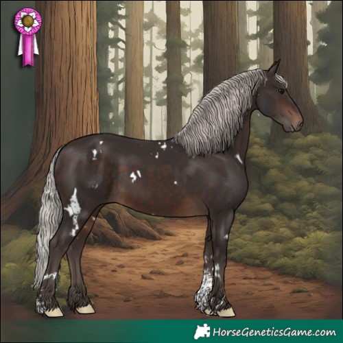 Horse Color:White Spotted Silver Brown Sabino Rabicano 