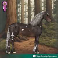 Horse Color:White Spotted Silver Brown Sabino Rabicano 