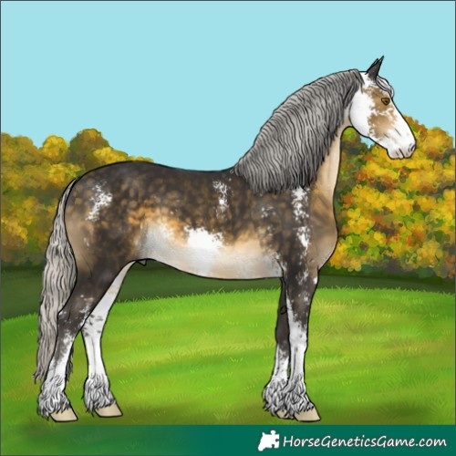 Horse Color:Silver Buckskin Sabino 