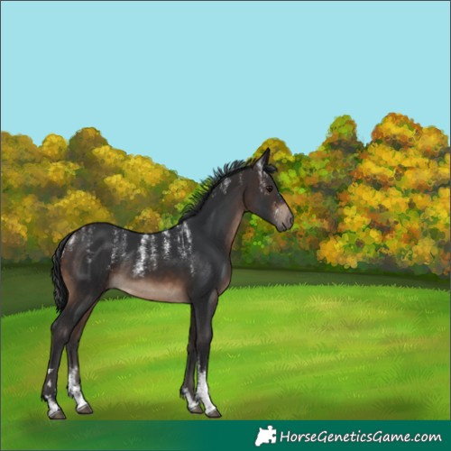 Horse Color:Powder White Brown Rabicano 