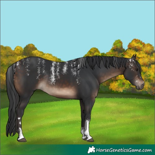 Horse Color:Powder White Brown Rabicano 