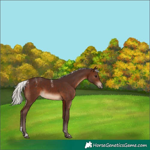 Horse Color:Powder White Silver Brown 
