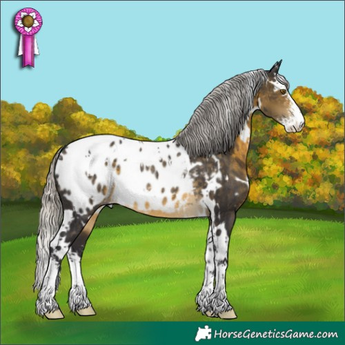 Horse Color:White Spotted Silver Buckskin Sabino Blanket Rabicano 