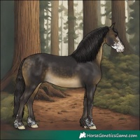 Horse Color:Buckskin Sabino 