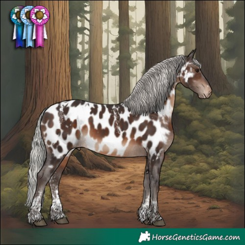 Horse Color:Powder White White Spotted Silver Brown Near Leopard Rabicano 