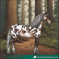 Horse Color:Powder White White Spotted Silver Brown Appaloosa Rabicano 