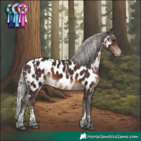 Horse Color:Powder White White Spotted Silver Brown Near Leopard Rabicano