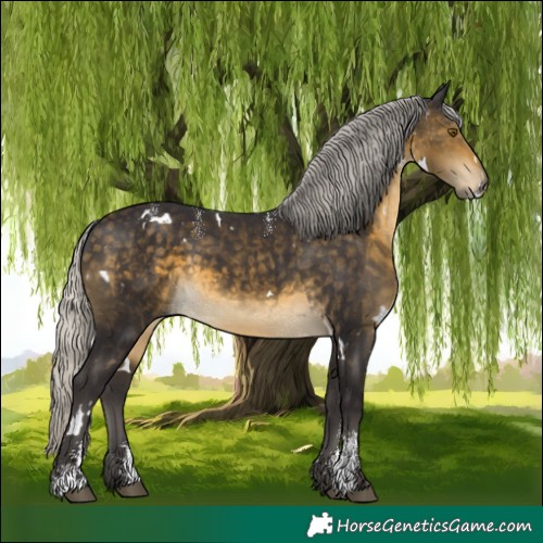 Horse Color:Powder White White Spotted Silver Buckskin 