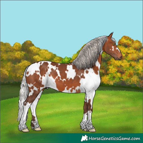 Horse Color:White Spotted Silver Brown 