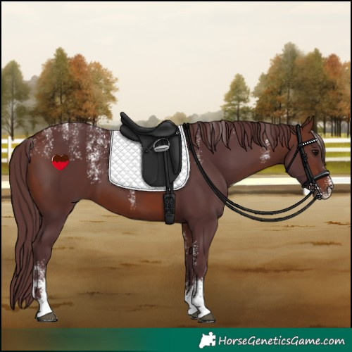 Horse Color:Powder White Chocolate Brown 