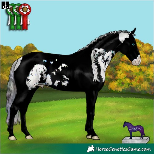 Horse Color:Nacre Blue Onyx Sabino Splash Tobiano 