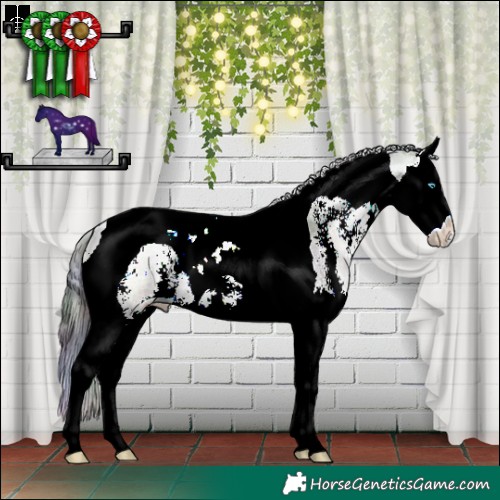 Horse Color:Nacre Blue Onyx Sabino Splash Tobiano 