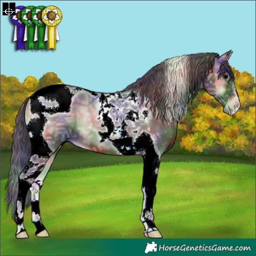 Horse Color:Nacre Blue Onyx Ice Tobiano 