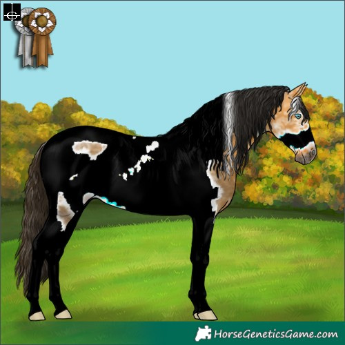 Horse Color:Gray Buckskin Ice Dun Sabino Tobiano Frame Rabicano